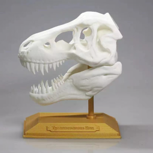 Trình in 3D, Sls 3d printer Prototype